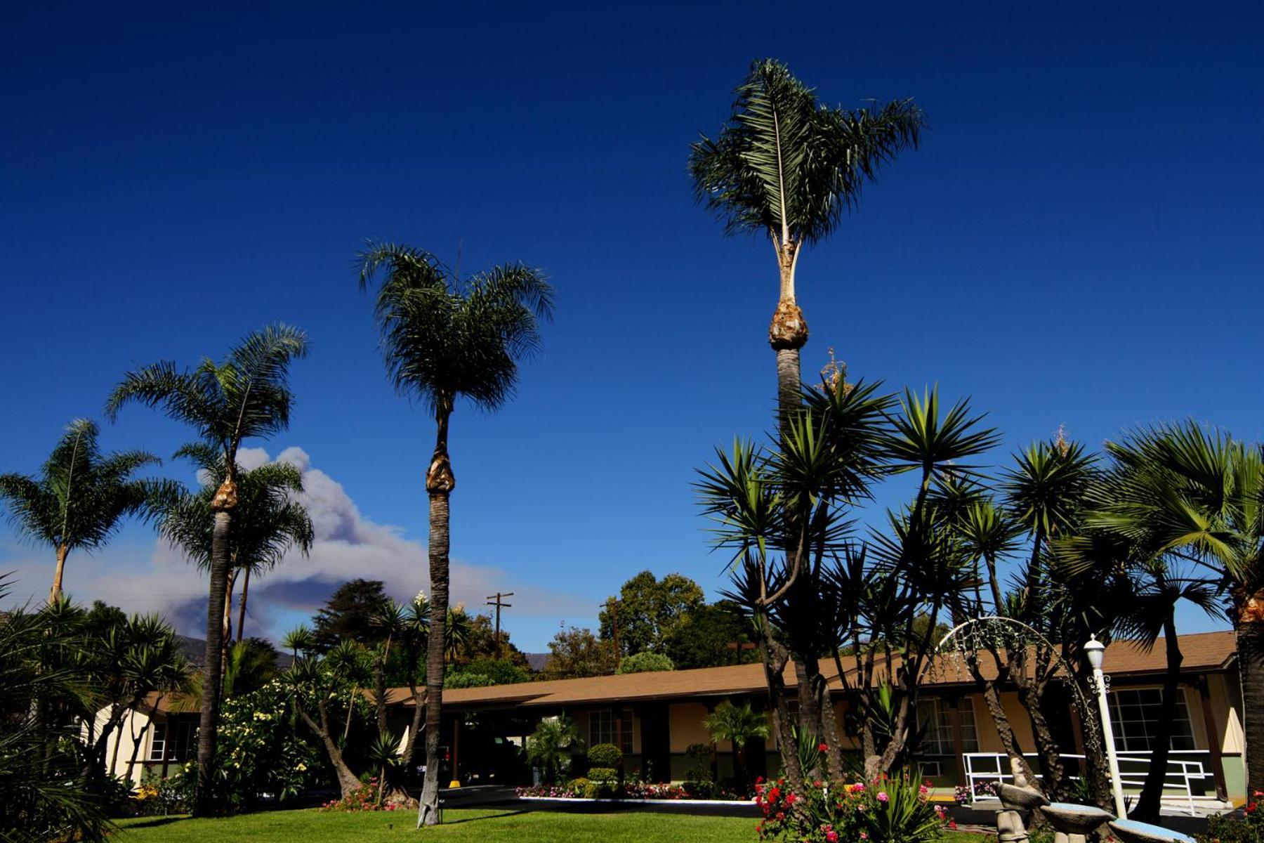 Palm Tropics Motel Glendora Extérieur photo